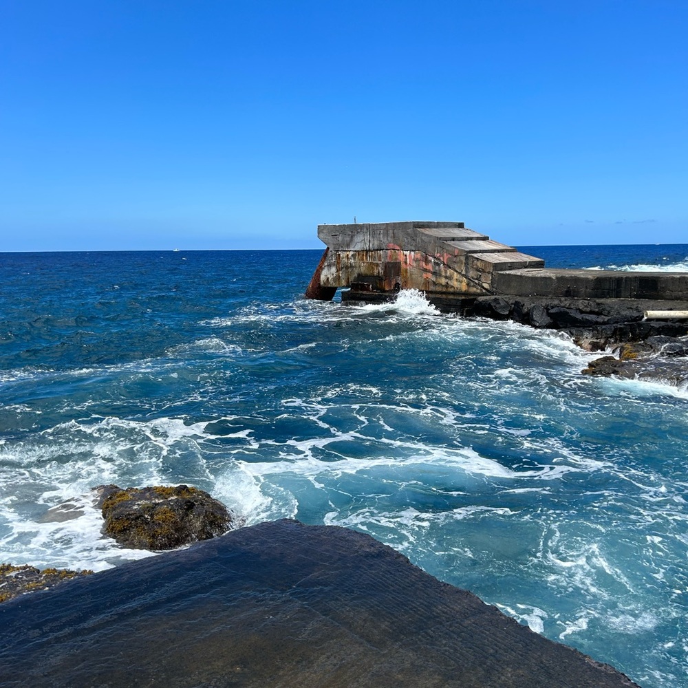 Meet your Posher, Nichollette